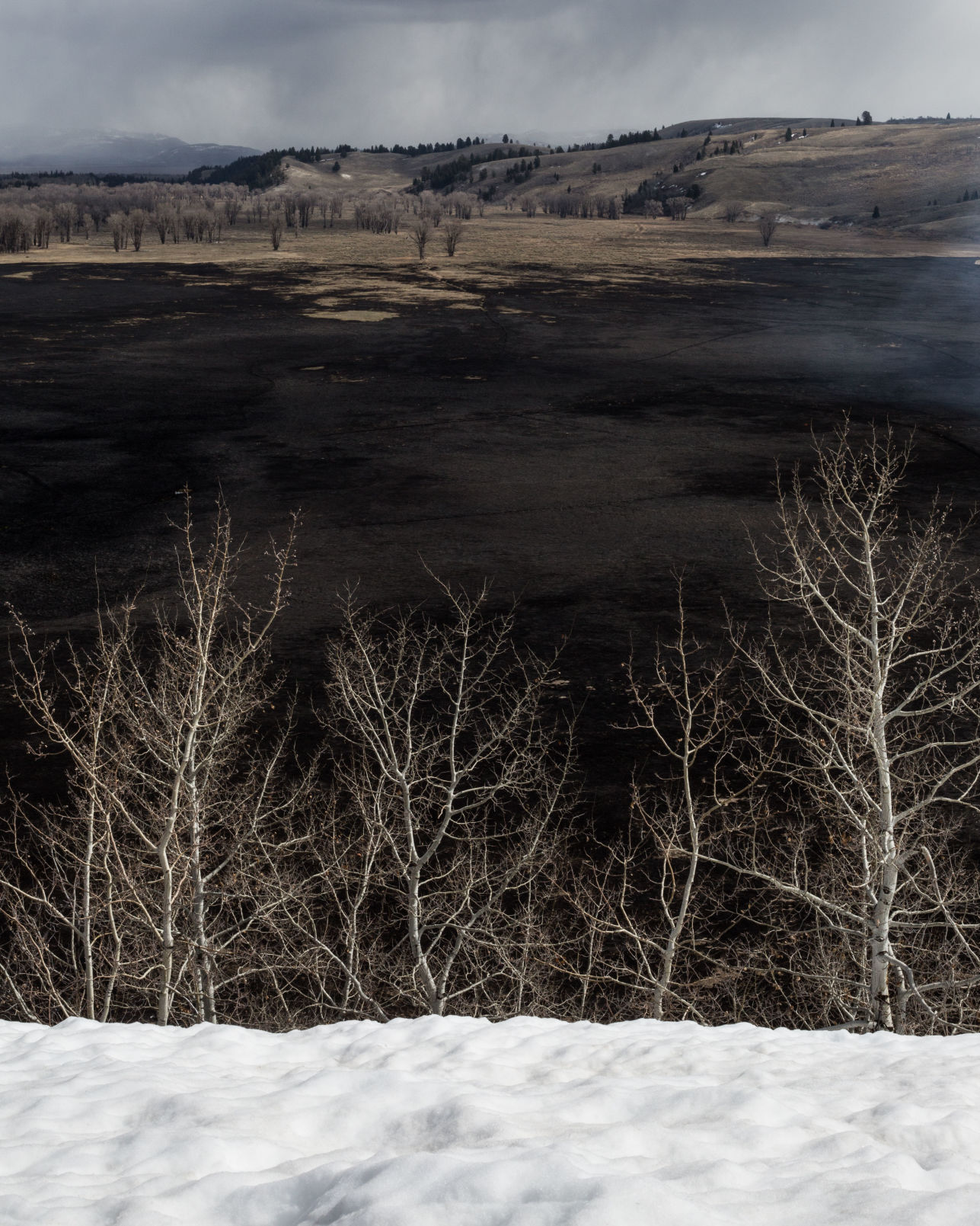 National Elk Refuge prescribed burn